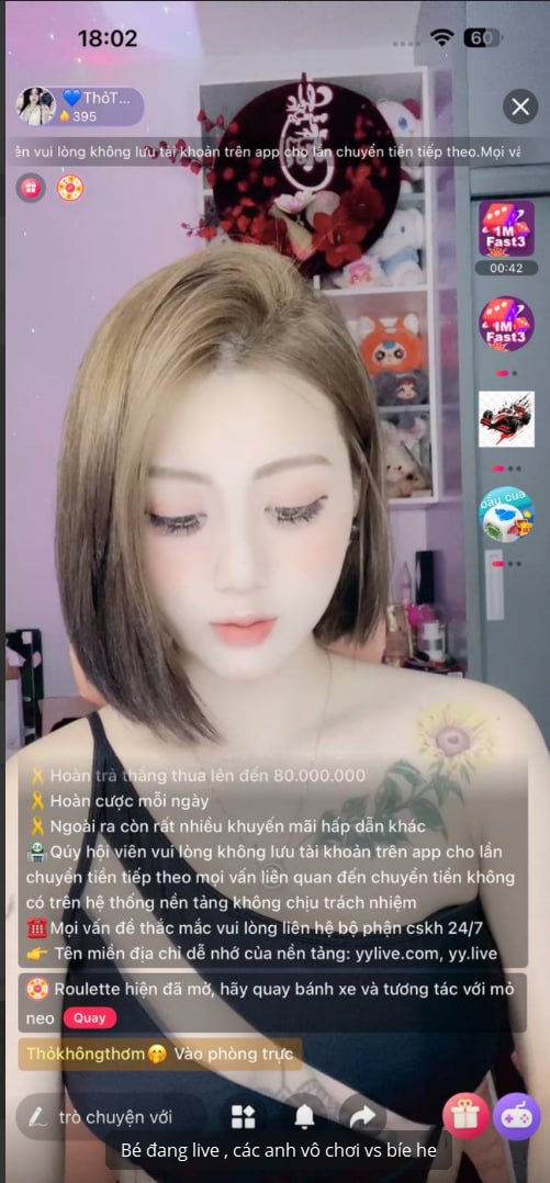 Streamer